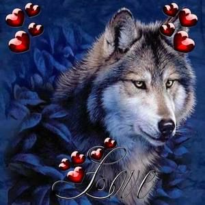 Meet your Posher, Tonya